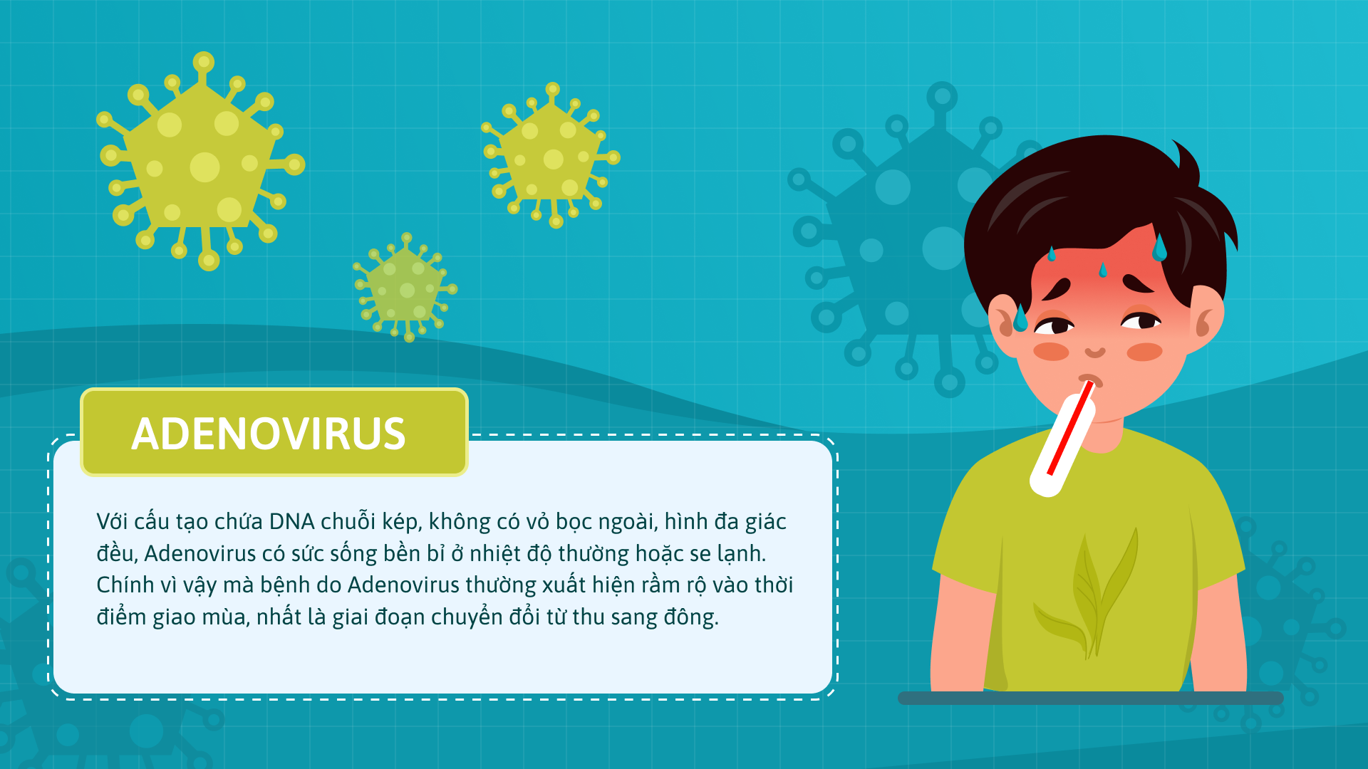 Adenovirus là gì