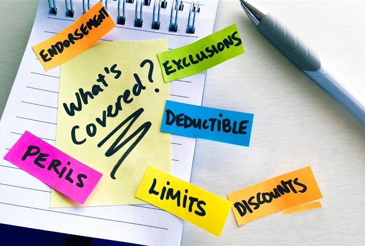 Principles in the application of exclusion terms