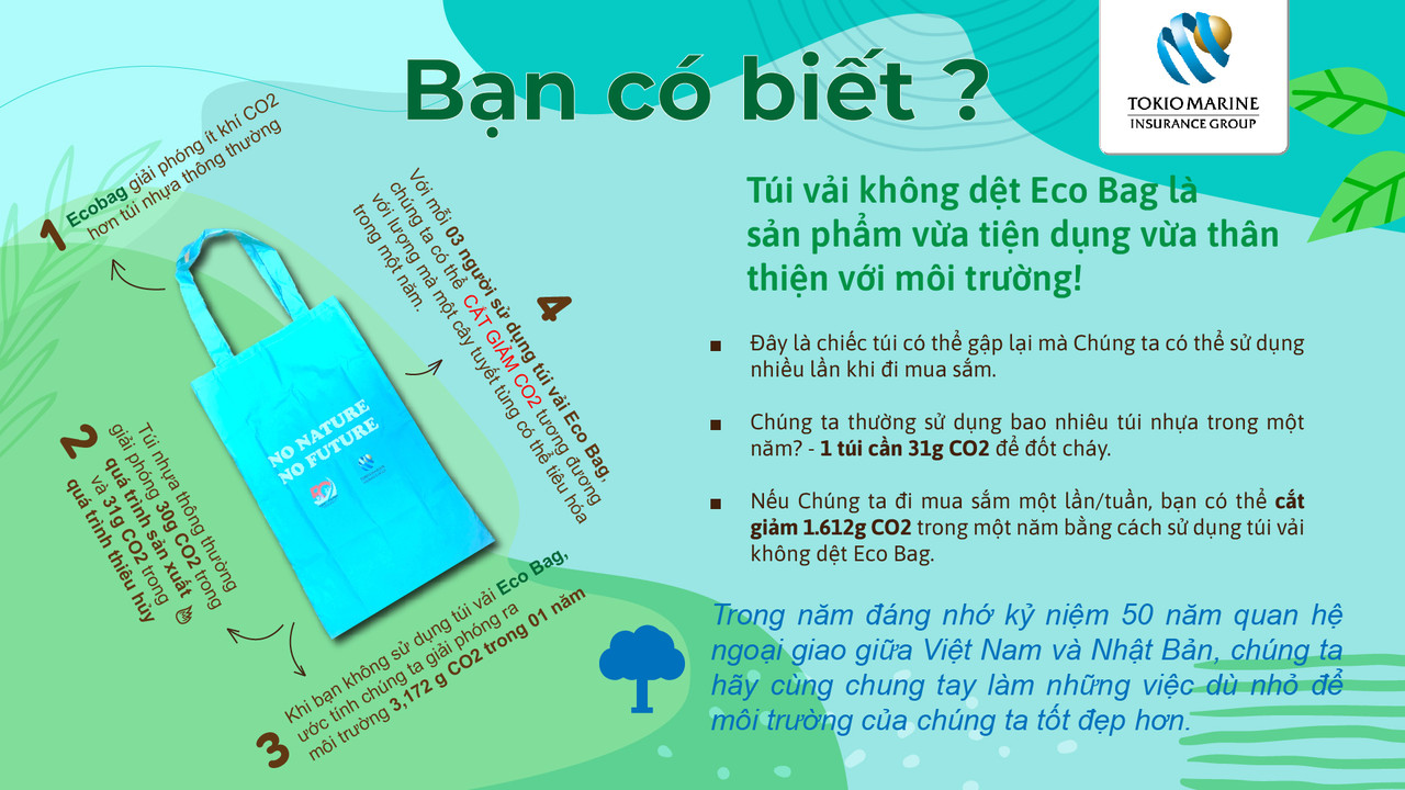 Eco Bag Story